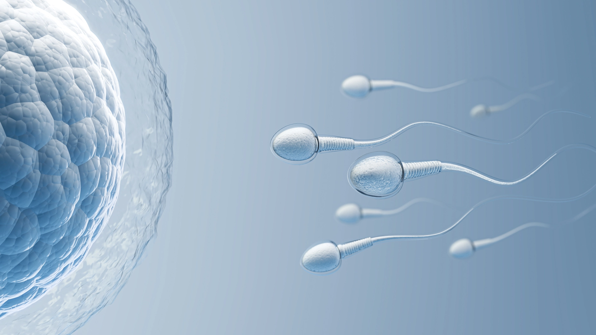 Sperm Kalitesi Nasıl Artar? 